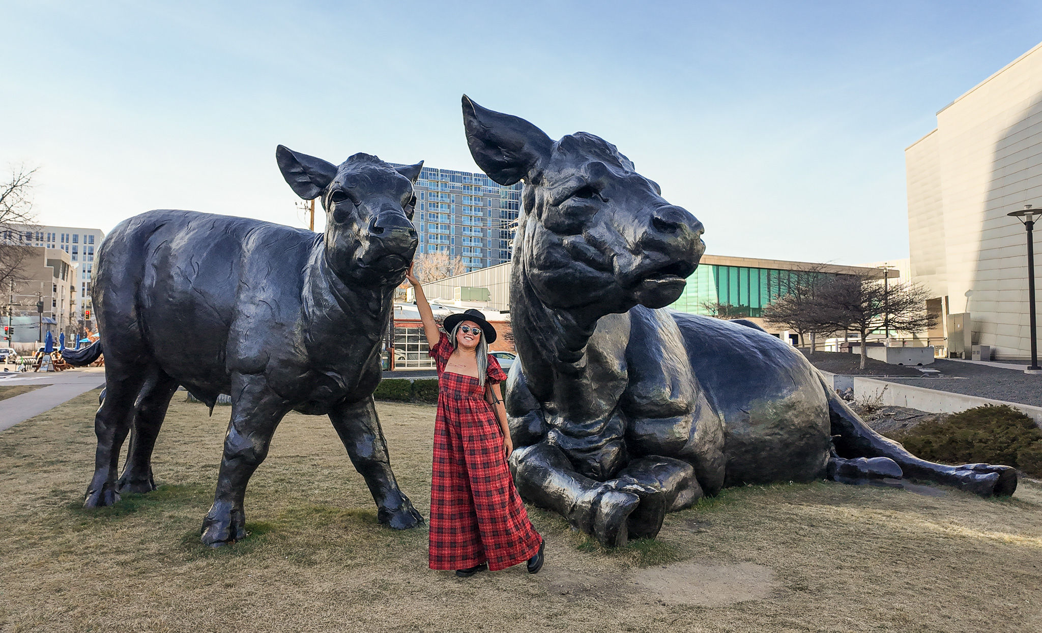 Denver Art Museum Scottish Angus Cow and Calf