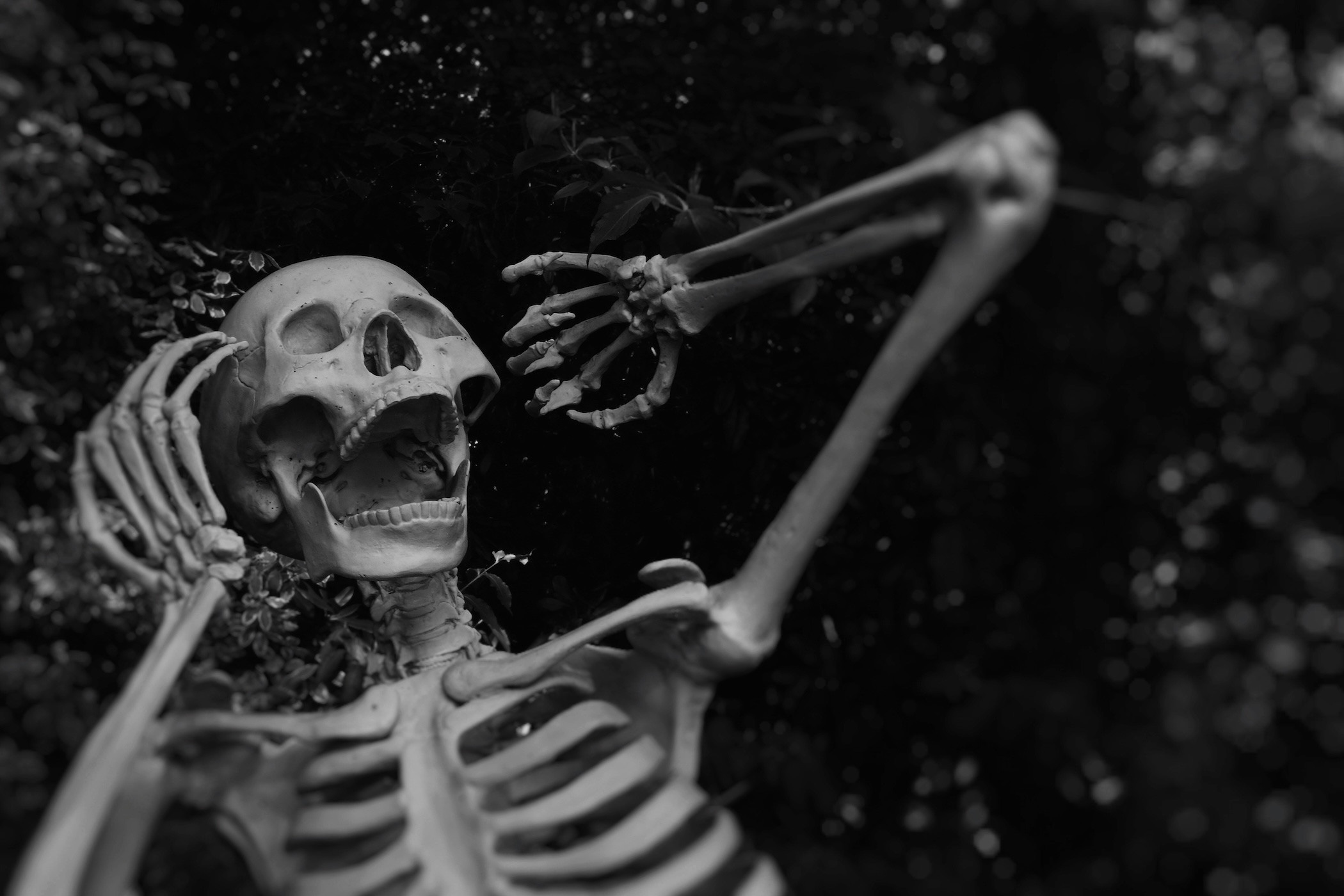 halloween skeleton screaming